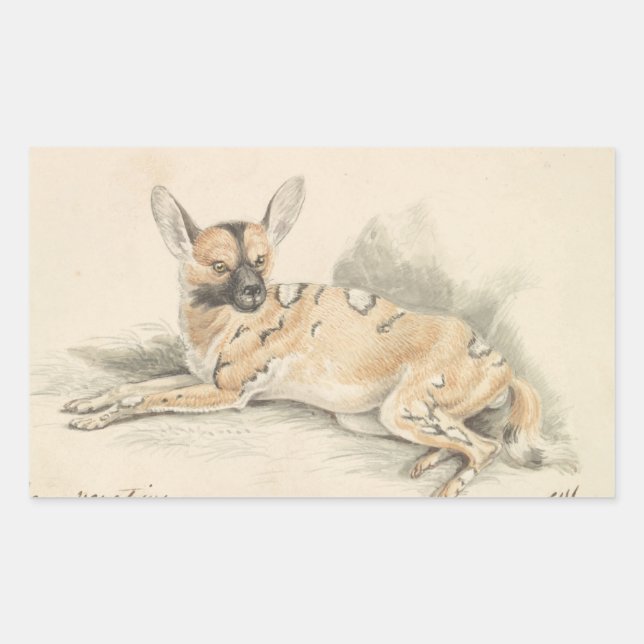 Charles Hamilton Smith - African Wild Dog Rectangular Sticker (Front)
