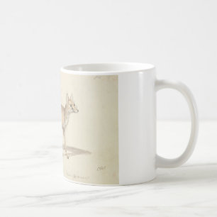 Charles Hamilton Smith - Corsac Dog-Fox Coffee Mug
