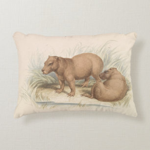 Charles Hamilton Smith - The Capybara Decorative Cushion