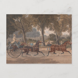 Charles Hunt - Extraordinary Trotting Match Postcard