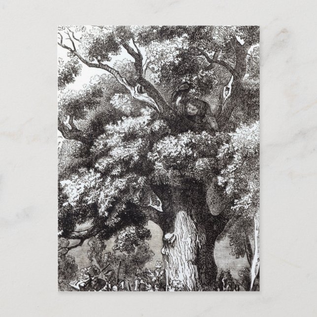 Charles II  Hidden in the Oak Tree Postcard (Front)