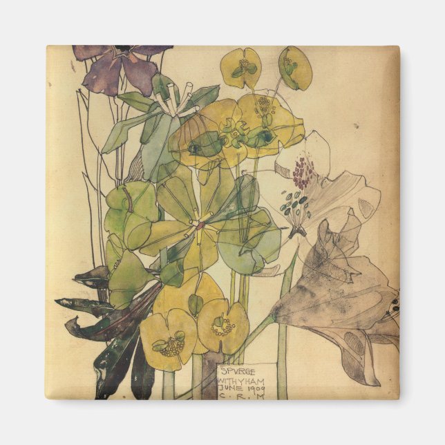 Charles Rennie Mackintosh - Spurge With Yham 1909 Magnet (Front)