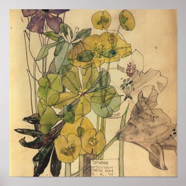 Charles Rennie Mackintosh - Spurge With Yham 1909 Poster (Front)