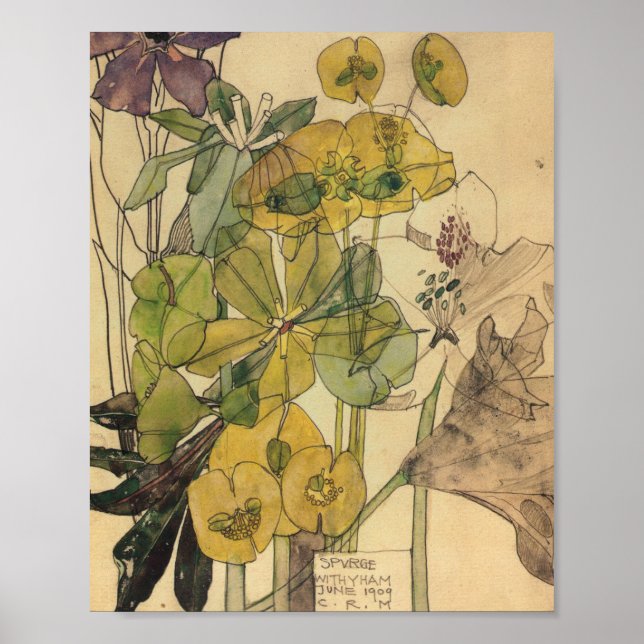 Charles Rennie Mackintosh - Spurge With Yham 1909 Poster (Front)
