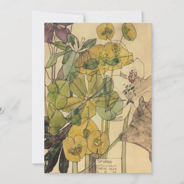 Charles Rennie Mackintosh - Spurge With Yham 1909 Thank You Card (Front)