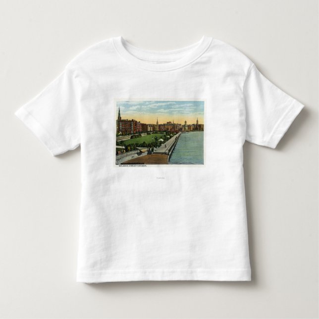 Charles River Basin and Esplanade View Toddler T-Shirt (Front)