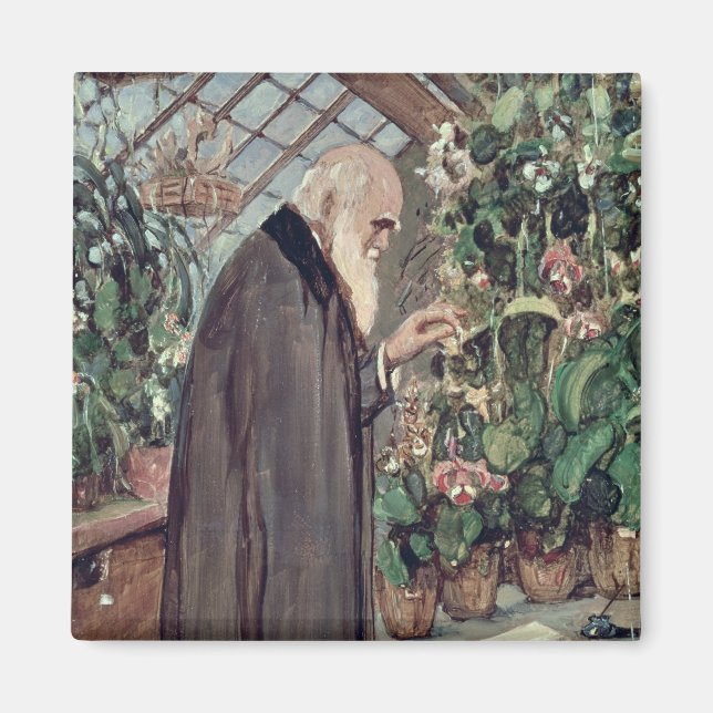 Charles Robert Darwin Magnet (Front)