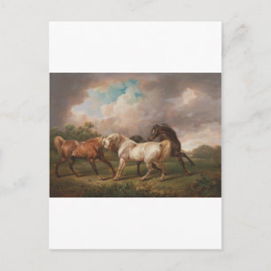 Charles Towne Art Painting Oil Horses Destiny Postcard