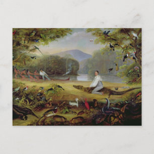 Charles Waterton capturing a cayman, 1825-26 Postcard