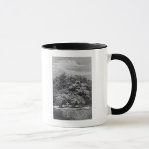 Charles Waterton's Grave Mug