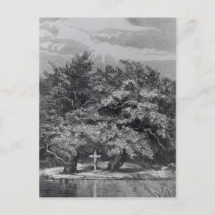 Charles Waterton's Grave Postcard