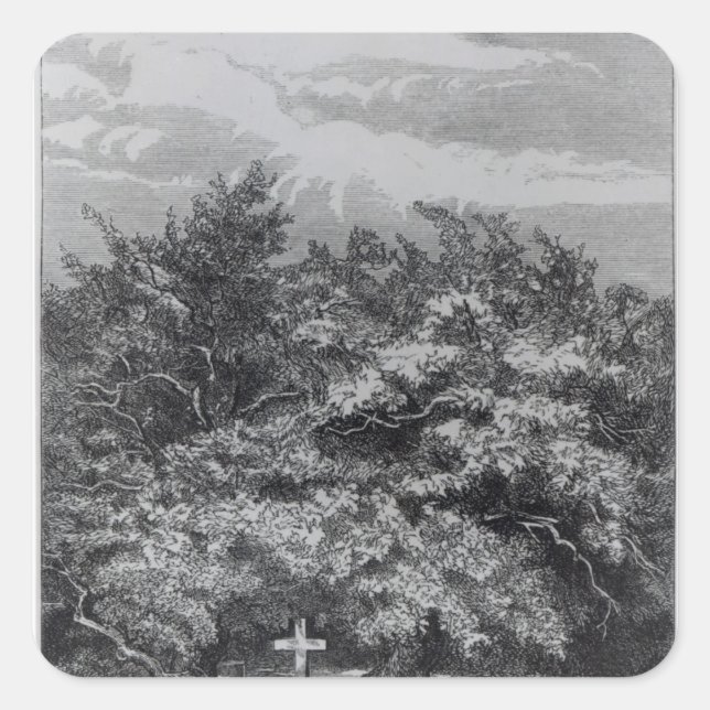 Charles Waterton's Grave Square Sticker (Front)
