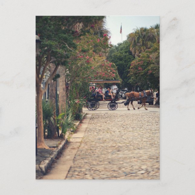 Charleston Cobbles Postcard (Front)
