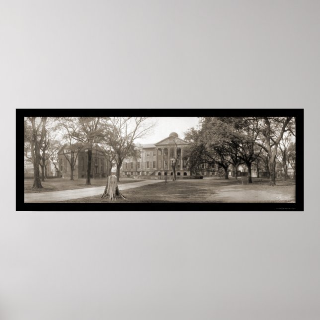 Charleston College SC Photo 1909 Poster (Front)