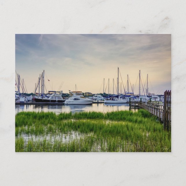 Charleston Harbour Boats Sunset Blank Post Card (Front)