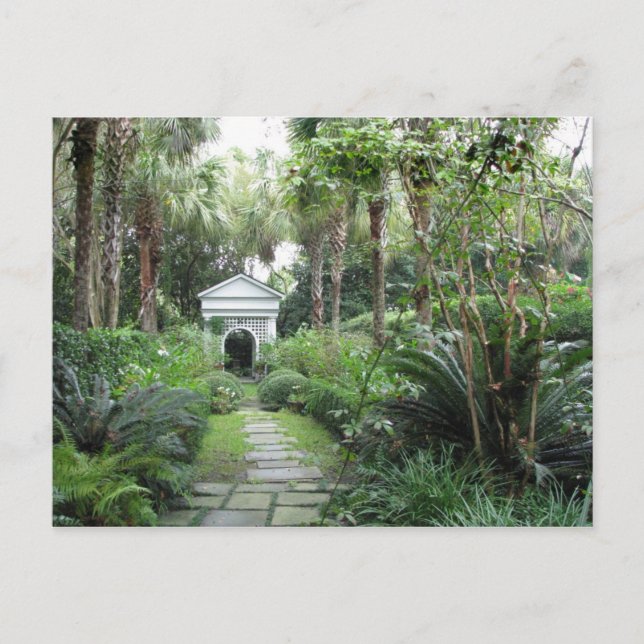 Charleston SC Palmettos Garden & Gazebo Postcard (Front)