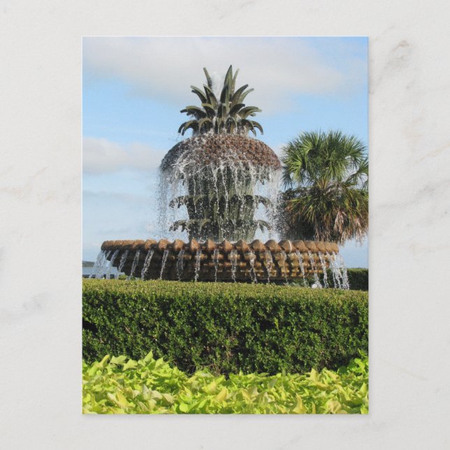 Charleston SC Pineapple Fountain Postcard (Front)