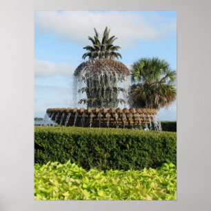Charleston SC Pineapple Fountain Print