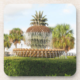 Charleston SC Pineapple Fountain, Waterfront Park Coaster