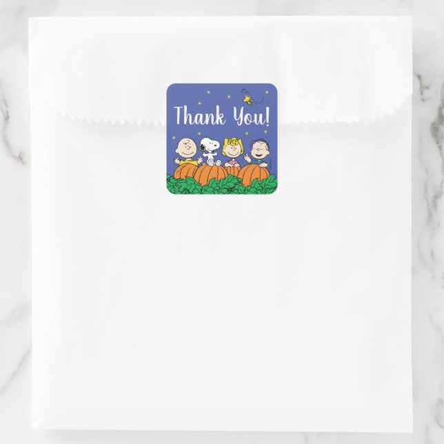 Charlie Brown and Gang Pumpkin 1st Birthday Square Sticker (Bag)