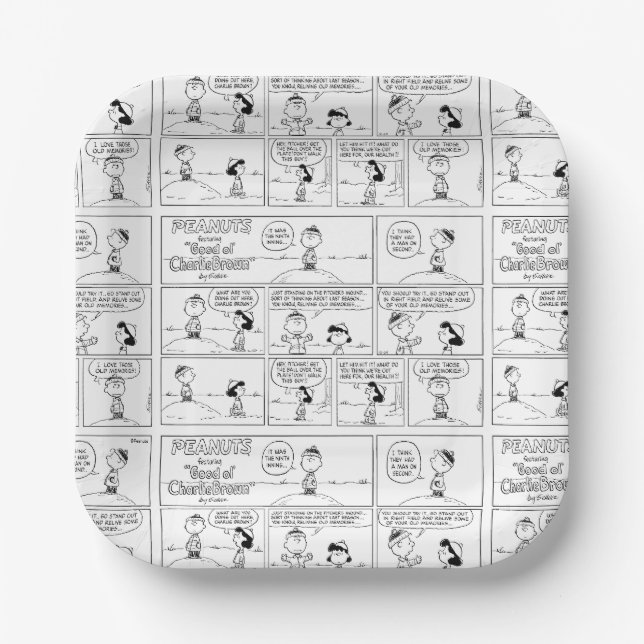 Charlie Brown's Memories At The Pitcher's Mound Paper Plate (Front)