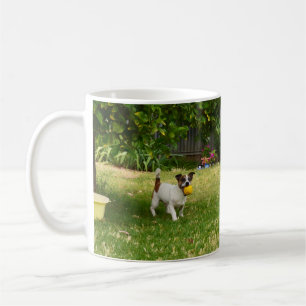 Charlie The Fox Terrier Ball Play, Coffee Mug