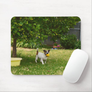 Charlie The Fox Terrier Ball Play, Mousepad