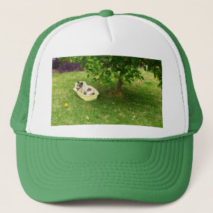 Charlie The Fox Terrier Bath Time, Truckers Hat