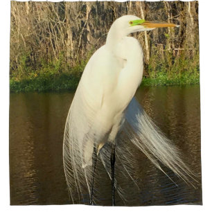 Charlie The Great Egret Shower Curtain