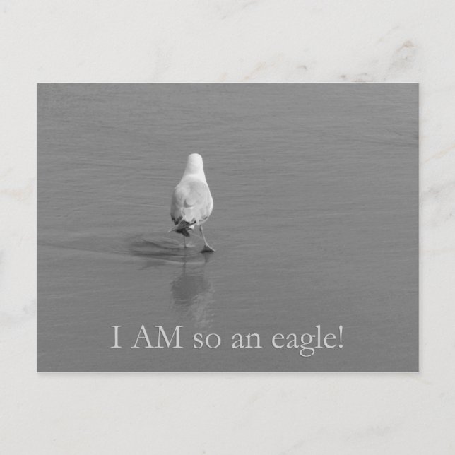 Charlie the lonely seagull - I am so an eagle! Postcard (Front)