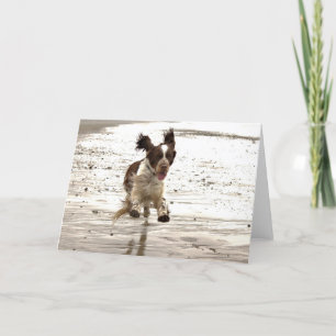 Charlie The Springer! Card