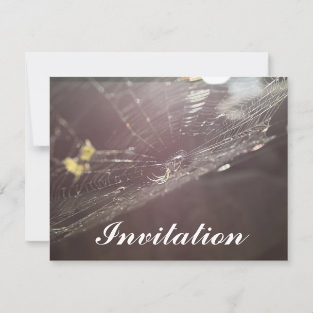 charlotte's web invitation (Front)