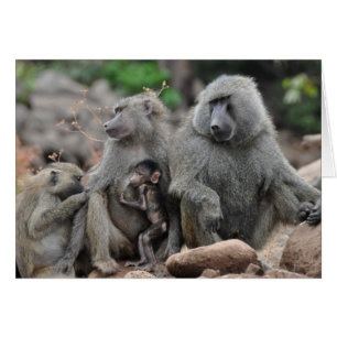 Charmed Life, Lake Manyara