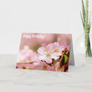 Charmin Sakura Flowers On Pink, Pink, Pink Card