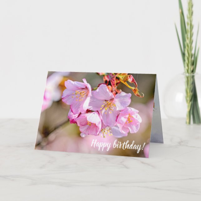 Charming And Cool Sakura Flowers In Springtime Card (Front)