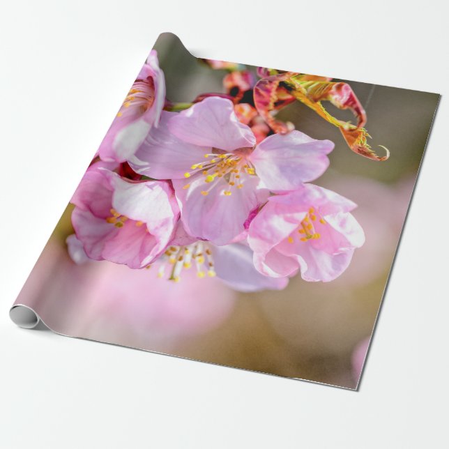 Charming And Cool Sakura Flowers Wrapping Paper (Unrolled)