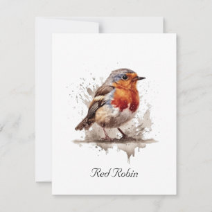 Charming Backyard Robin, custom Card