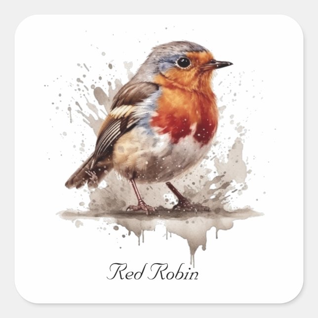 Charming Backyard Robin, custom Square Sticker (Front)