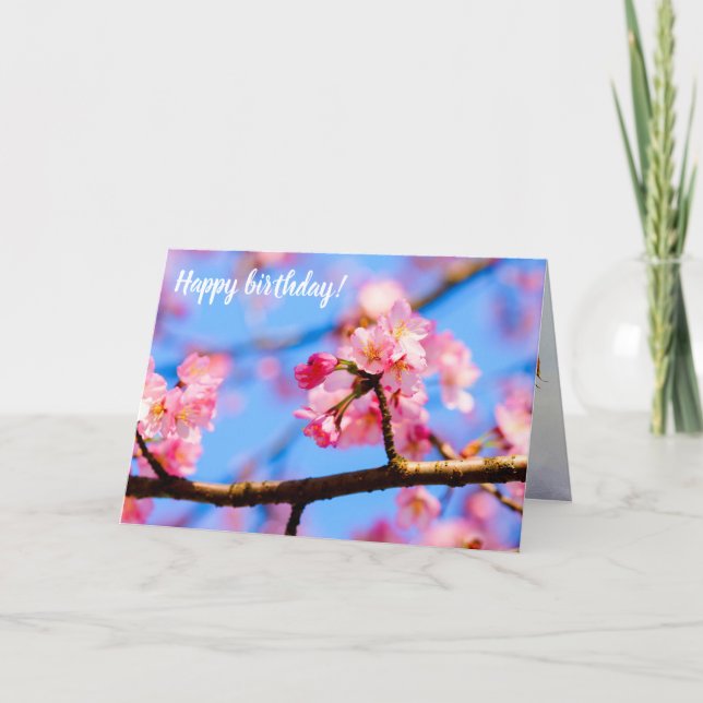 Charming Beauty Of Sakura Flowers In Springtime Card (Front)