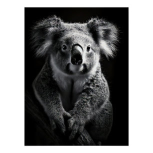 Charming Black & White Koala Fine Art Print  