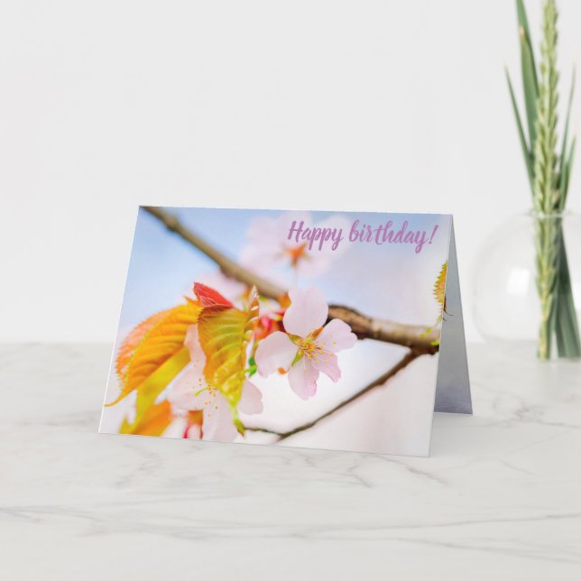 Charming Chic Sakura Flower And Leaves In Spring Card (Front)