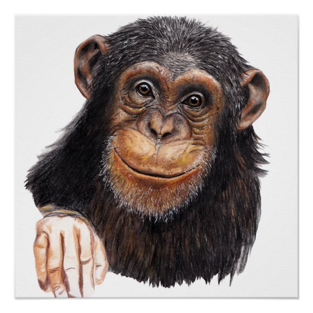 Charming Chimpanzee Poster (Front)