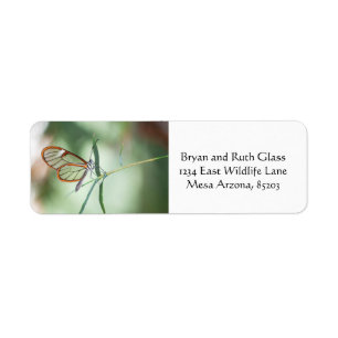 Charming Clear-Wing Butterfly Return Address Label