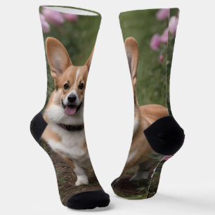 "Charming Companion: A Corgi in a Pink Rose Garden Socks