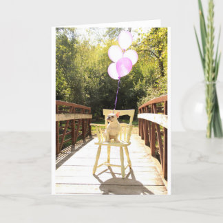 Charming French Bulldog Birthday Card