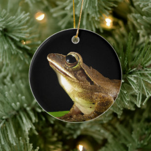 Charming Frog on a Lily Pad, Water Lily Ceramic Ornament