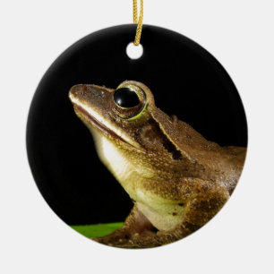 Charming Frog on a Lily Pad, Water Lily Ceramic Ornament