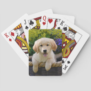 Charming Goldie Dog Cute Puppy, Playing Cards
