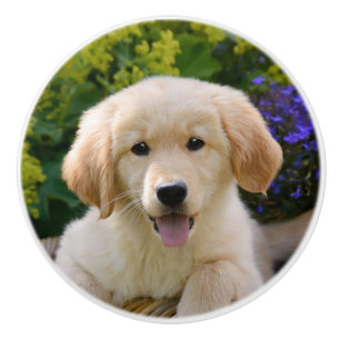 Charming Goldie Dog Puppy Portrait, Decorative Ceramic Knob