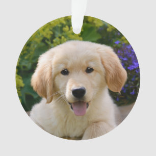 Charming Goldie Retriever Dog Puppy - Ornament
